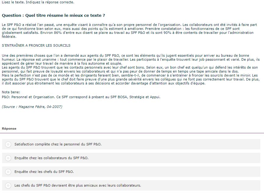 Test linguistique informatisé du Selor: quel titre résume le mieux ce texte